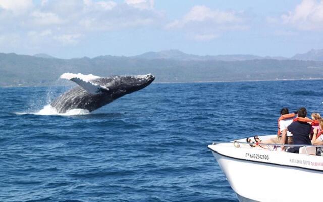 Room-best bed and Breakfast in Samana Br