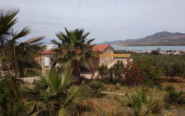 House with Unique View