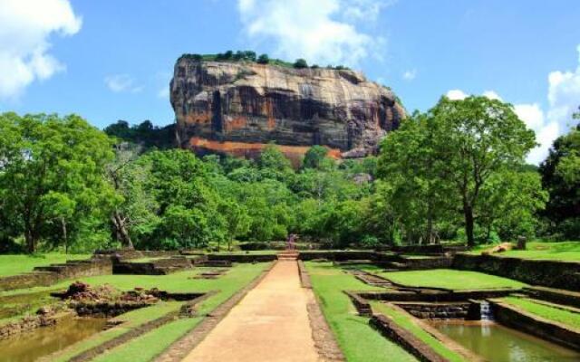 sigiriya flower guest