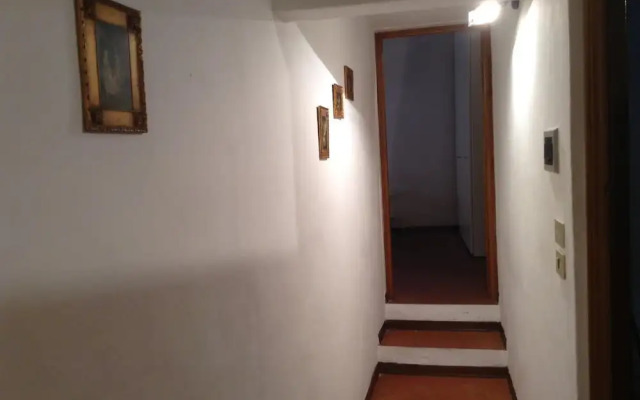 Vellutini Number One