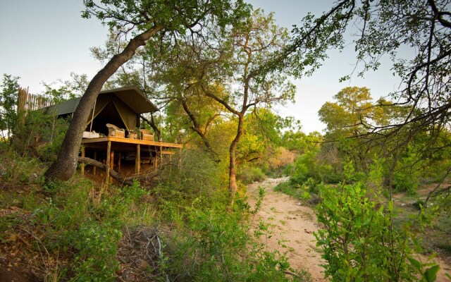 Klaserie Sands Safari Trails