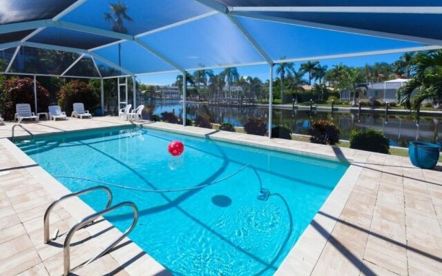Palmview by RedAwning