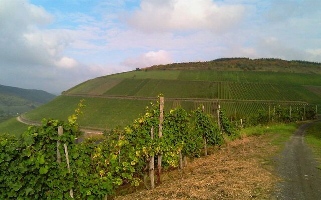 Hotel und Weingut Karlsmühle