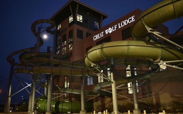 Отель Great Wolf Lodge Bloomington