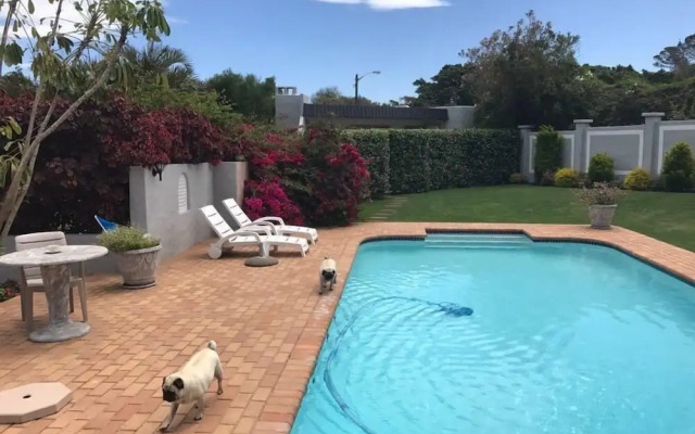 Pug and Putter