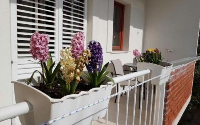 Apartment Vice mali