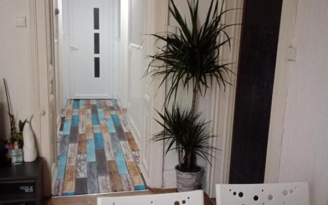 Pounette, appartement T3 centre / thermes Luxeuil