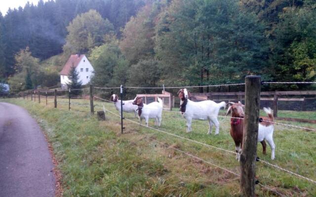 FeWo PacoHaus nähe Willingen Diemelsee