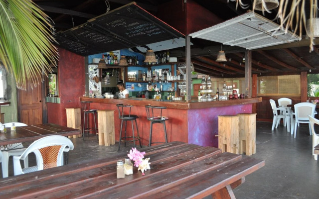 Tropical Gecko Studio
