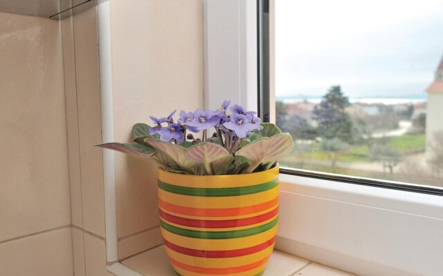 Awesome Home in Privlaka With Wifi and 1 Bedrooms