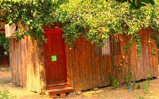 Saban Tree Houses