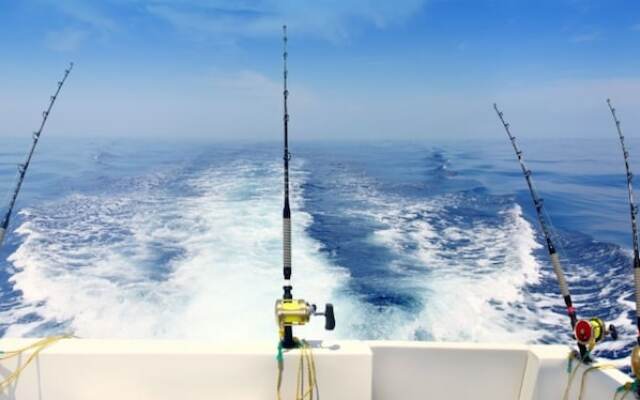 1299 Laurel Grove 3 Bedroom Home by RedAwning