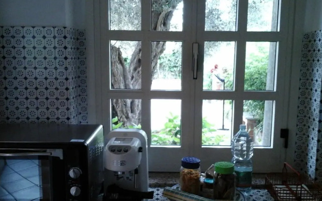 Il Giardino sul Mare