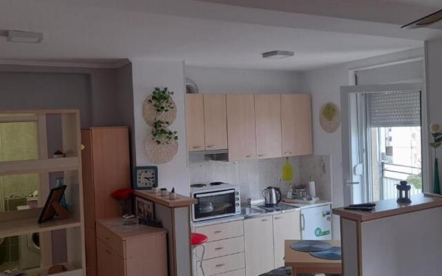 Apartment Zira1