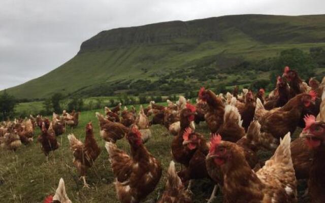 Benbulben Farmhouse B&B