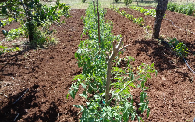 Agroturismo Na Set Centes