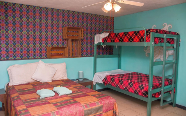 Hierba de Conejo - Hostel