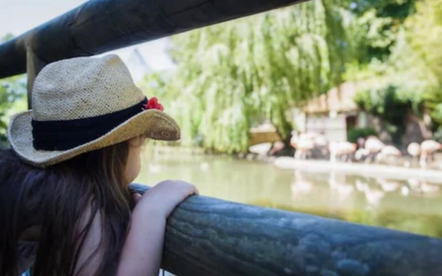 Durrell Wildlife Camp