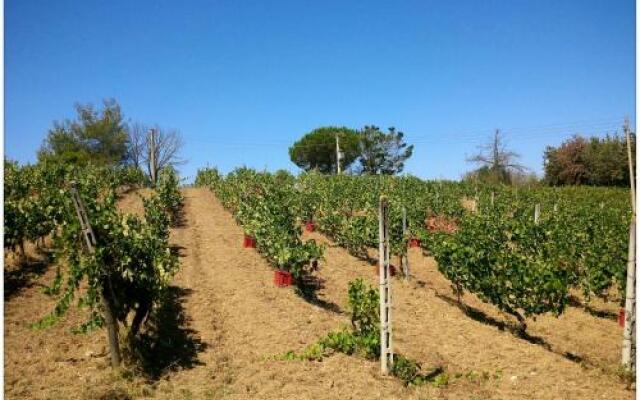 Agriturismo Podere San Giusto