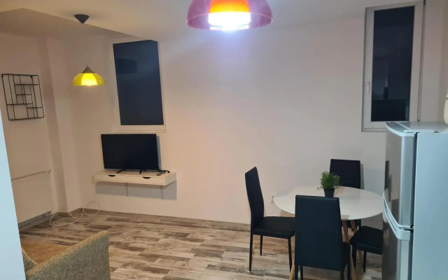 Luxury Apartments Mall Area