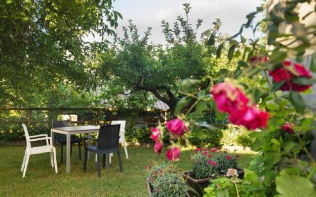 Hotel Cinca