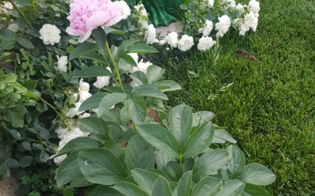 Trullo del Cavaliere