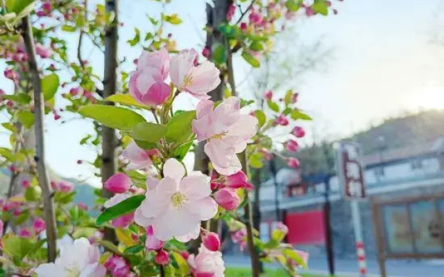 Yixingshanju guesthouse