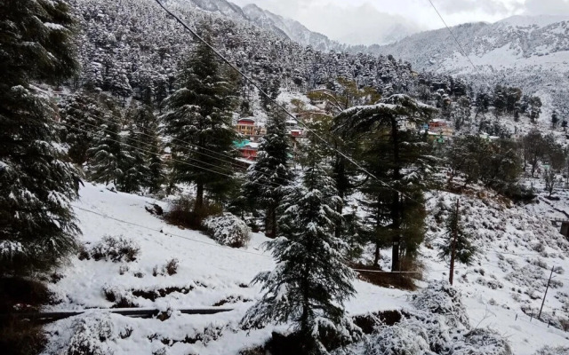 Hotel Pine spring