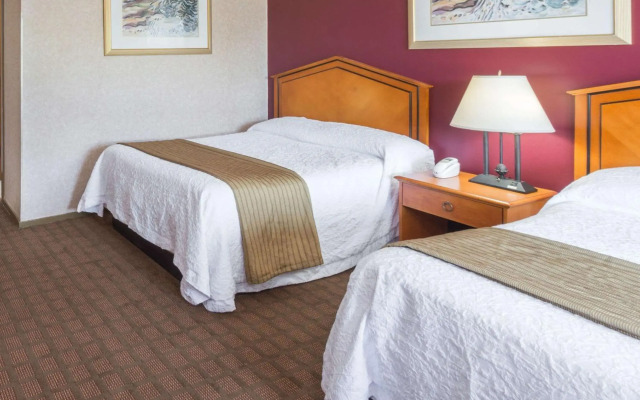 Elite Inn