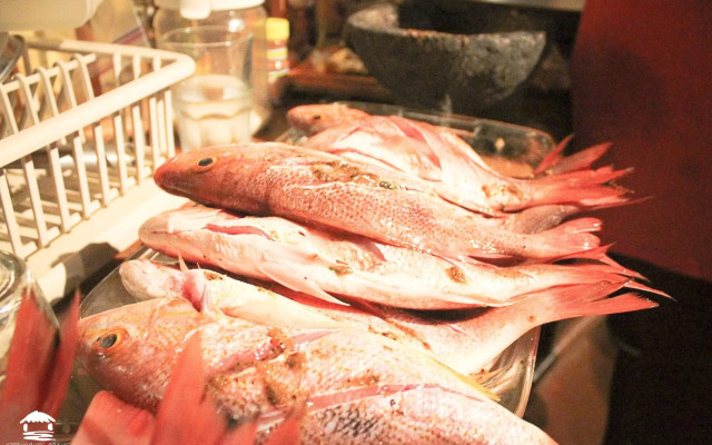 Troncones Point Hostel