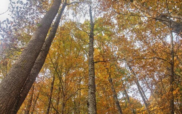 CTR La Coruja del Ebro