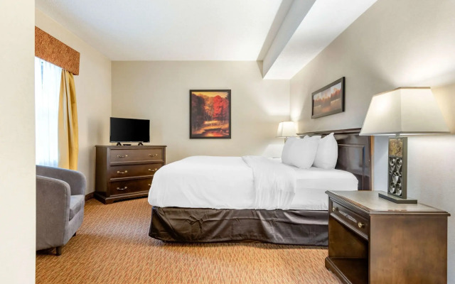 Village Inn & Suites