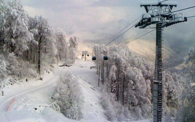 Guesthouse Energetikov 128
