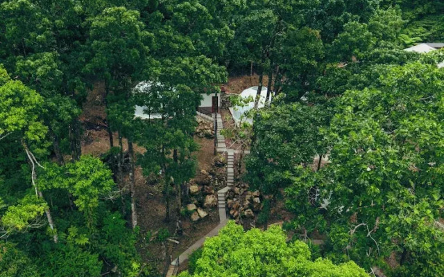 Matahom Forest Glamping Tent 2