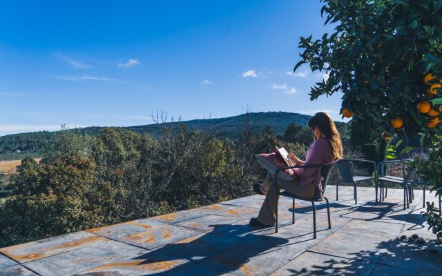 Local 9 - Casa do chapim azul