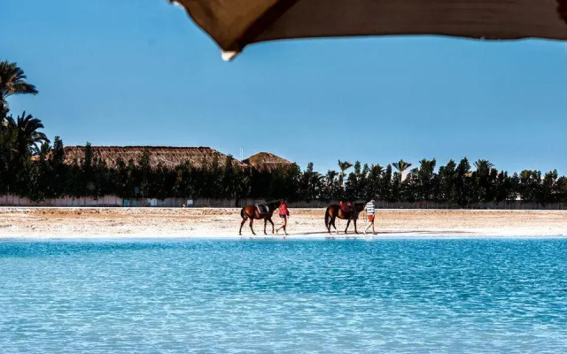 Gravity Hotel & Aqua Park Hurghada  Families and Couples Only