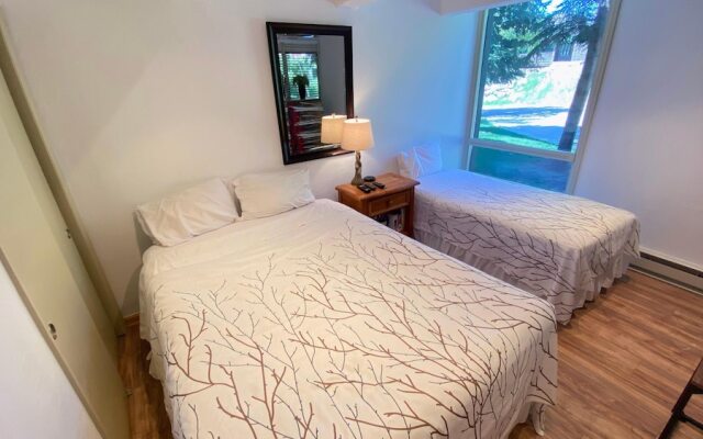 #101 Vail International