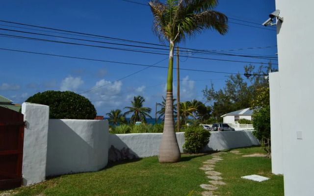 Tropical Gecko Studio