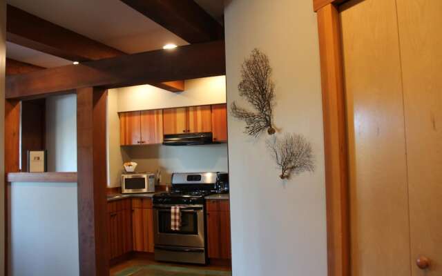 Safe Harbour Suite