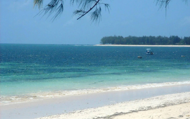Driftwood Beach Club
