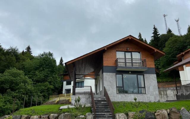 Mount Inn Villa