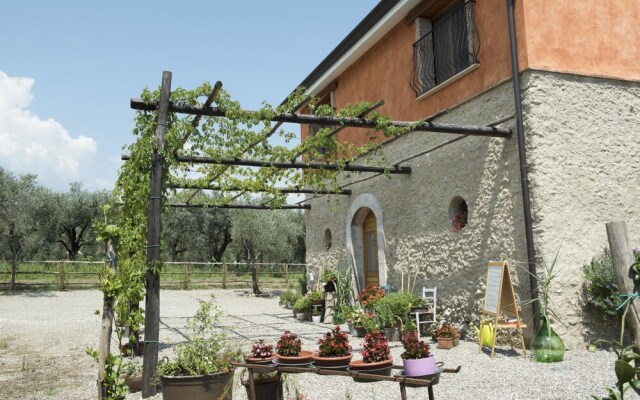 Rifugio tra gli Ulivi B&B