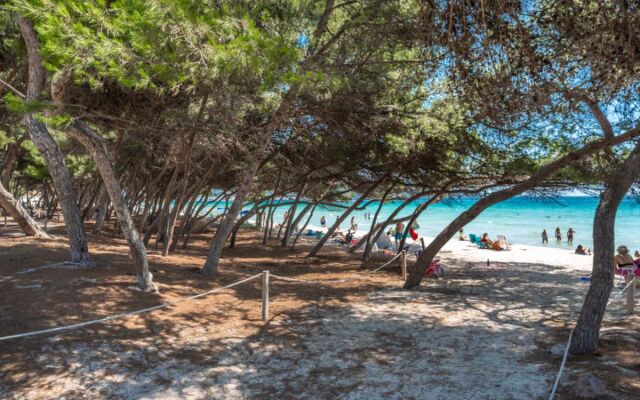Apartment Lago y Mar Port d'Alcúdia