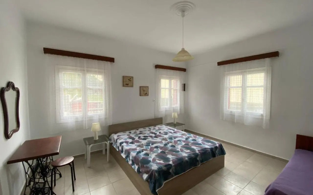 Stella's House
