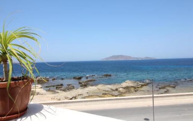 Ajamola