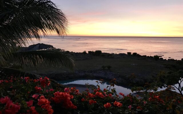 Tanna Evergreen Resort & Tours