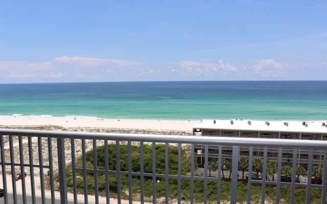 Emerald Dolphin by Surfside VR