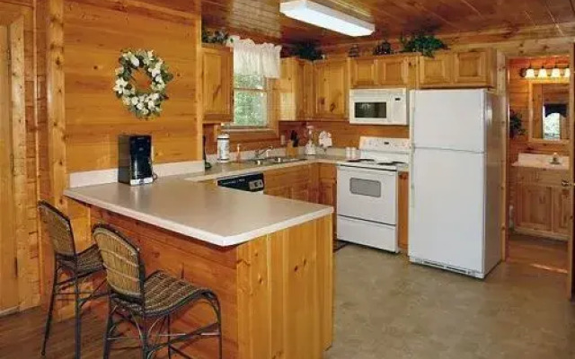 Buddy Bear 249 by Aunt Bug's Cabin Rentals