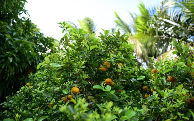 Stayhill Resort