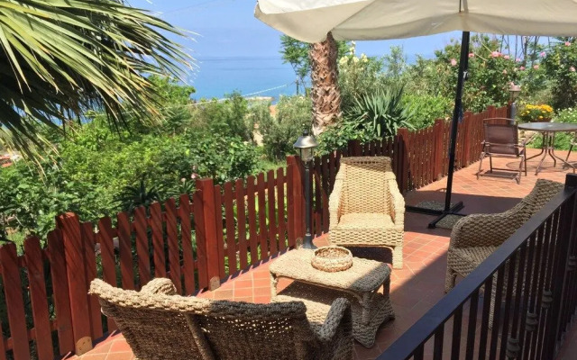 B&B Colle degli Ulivi